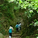 九龙源风景区 - 宁波市旅游 缩略图 2