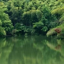 九龙源风景区 - 宁波市旅游 缩略图 8