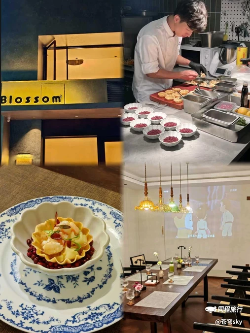 Blossom - 宁波市旅游