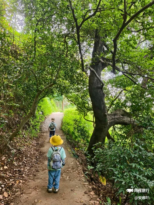 淘金山绿道 - 深圳市旅游