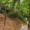 淘金山绿道 - 深圳市旅游 缩略图 8