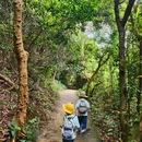 淘金山绿道 - 深圳市旅游 缩略图 6
