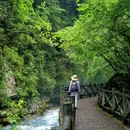 二郎山喇叭河风景区 - 雅安市旅游 缩略图 5