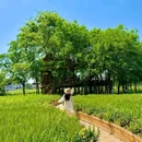 成都香格里拉 - 成都市旅游 缩略图 2