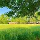 成都香格里拉 - 成都市旅游 缩略图 3