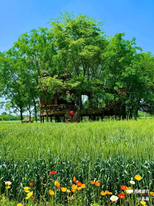 成都香格里拉 - 成都市旅游