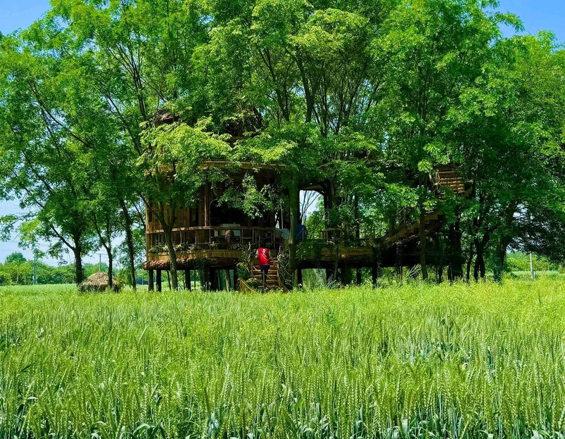 成都香格里拉 - 成都市旅游 1