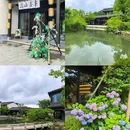 宜兴龙背山森林公园 - 无锡市旅游 缩略图 3