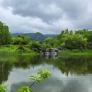 宜兴龙背山森林公园 - 无锡市旅游 缩略图 9