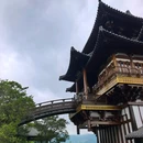 宜兴龙背山森林公园 - 无锡市旅游 缩略图 6