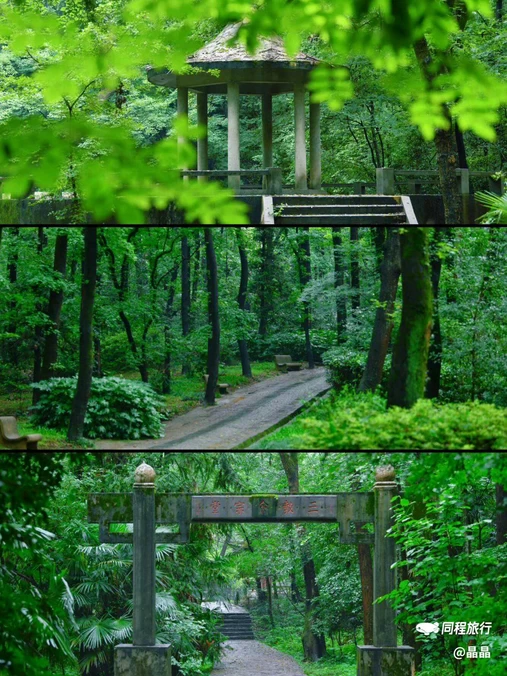 南京老山国家森林公园 - 南京市旅游