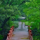 南京老山国家森林公园 - 南京市旅游 缩略图 7