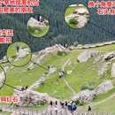 果子沟大桥 - 伊犁哈萨克自治州旅游 缩略图 6