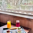 顺联广场 - 佛山市旅游 缩略图 3