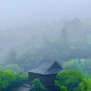 安吉白茶博物馆 - 湖州市旅游 缩略图 5