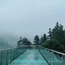 安吉白茶博物馆 - 湖州市旅游 缩略图 8