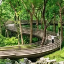 虎跑公园 - 杭州市旅游 缩略图 1