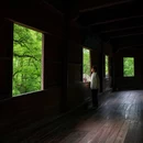 虎跑公园 - 杭州市旅游 缩略图 3