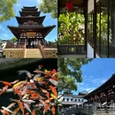 大润发(东环店) - 苏州市旅游 缩略图 6