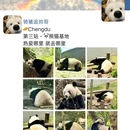 龙城红光里·恒泰广场 - 成都市旅游 缩略图 7