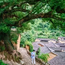 缙云仙都岩宕 - 丽水市旅游 缩略图 2