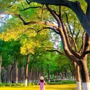 南京绣球公园 - 南京市旅游 缩略图 4