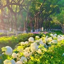 南京绣球公园 - 南京市旅游 缩略图 1