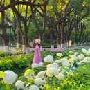 南京绣球公园 - 南京市旅游 缩略图 6