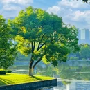 南京绣球公园 - 南京市旅游 缩略图 8