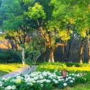 南京绣球公园 - 南京市旅游 缩略图 9