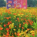 听音湖 - 佛山市旅游 缩略图 2