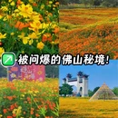 听音湖 - 佛山市旅游 缩略图 1