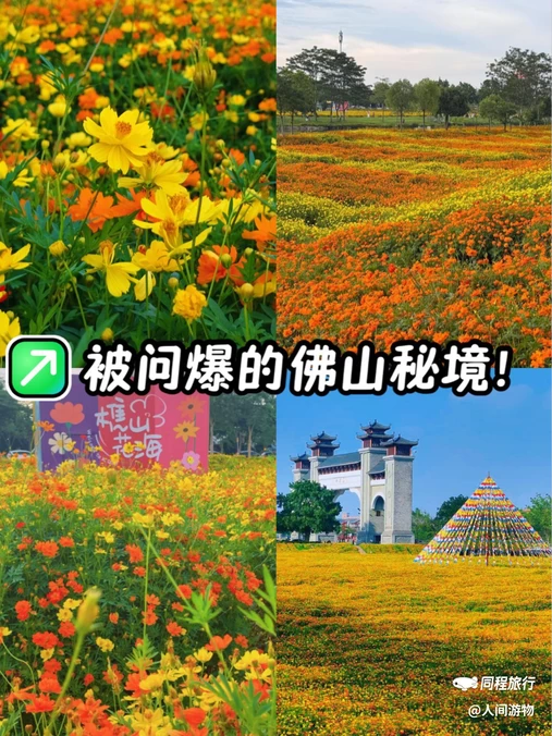 听音湖 - 佛山市旅游