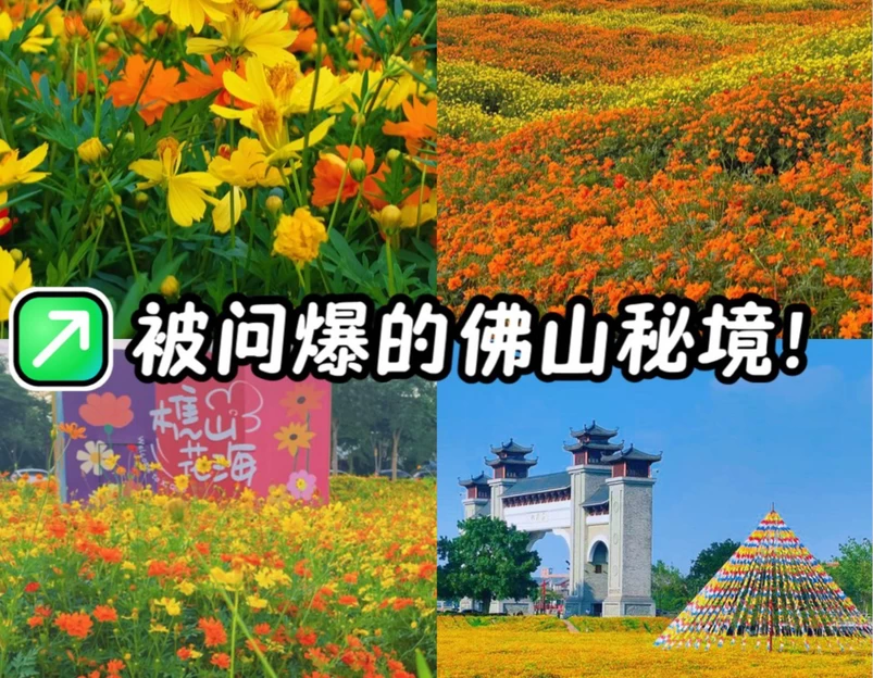 听音湖 - 佛山市旅游 1