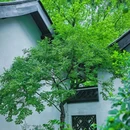 逍遥津公园 - 合肥市旅游 缩略图 6
