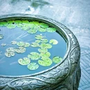 逍遥津公园 - 合肥市旅游 缩略图 9