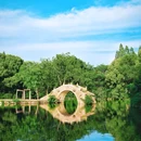 乌镇古镇旅游区 - 嘉兴市旅游 缩略图 6
