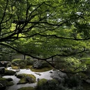 信一堂药铺(观永路店) - 重庆市旅游 缩略图 1