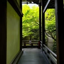 信一堂药铺(观永路店) - 重庆市旅游 缩略图 4