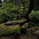 信一堂药铺(观永路店) - 重庆市旅游 缩略图 5