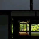 信一堂药铺(观永路店) - 重庆市旅游 缩略图 9