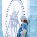 哈尔滨冰雪大世界 - 哈尔滨市旅游 缩略图 1