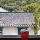 星巴克(陶麓店) - 宁波旅游 缩略图 8