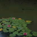 新洲生态园 - 无锡市旅游 缩略图 2