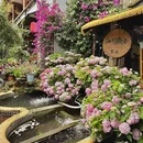 江上渔哥庭院餐厅 - 长沙市旅游 缩略图 6