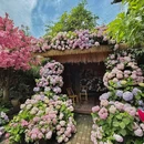 江上渔哥庭院餐厅 - 长沙市旅游 缩略图 8