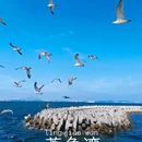 晨曦沙滩 - 大连市旅游 缩略图 6