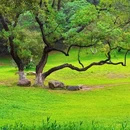 大夫山森林公园 - 广州市旅游 缩略图 7
