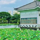 荔湾湖公园 - 广州市旅游 缩略图 9