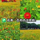 七彩花田生态园 - 佛山旅游 缩略图 1